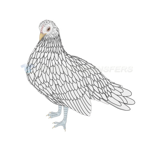 Birds Iron-on Stickers (Heat Transfers)NO.2197